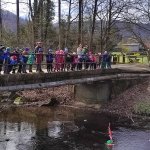 phoca_thumb_m_maena 48 Fotogalerie